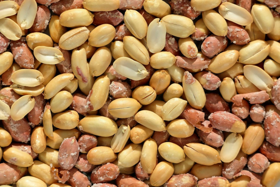 Αρχείου UNSPLASH