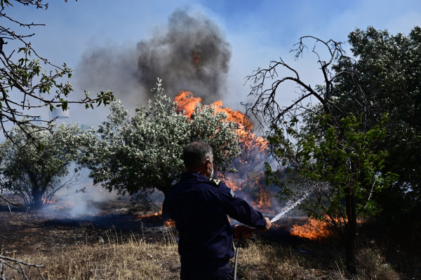 Φωτιά: Πώς ο καπνός της δασικής πυρκαγιάς επηρεάζει την υγεία; sos οδηγίες προστασίας