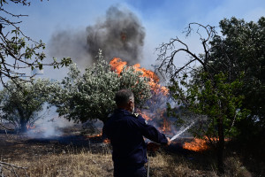 Φωτιά: Πώς ο καπνός της δασικής πυρκαγιάς επηρεάζει την υγεία; sos οδηγίες προστασίας