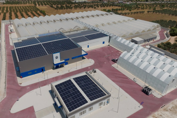 Η Tikun Olam Ελλάδος μειώνει το περιβαλλοντικό της αποτύπωμα