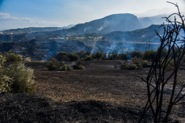 Υποτιμημένος κατά 93% ο κίνδυνος θνησιμότητας από τον καπνό των δασικών πυρκαγιών