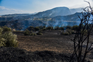 Υποτιμημένος κατά 93% ο κίνδυνος θνησιμότητας από τον καπνό των δασικών πυρκαγιών