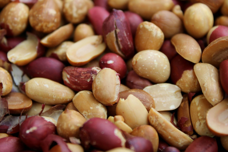 Αρχείου UNSPLASH