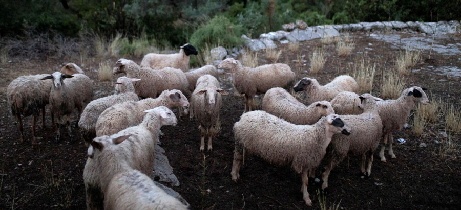 Αρχείου INTIME