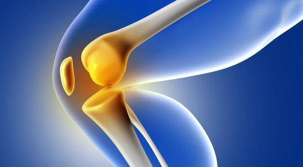 Εξατομικευμένα «ζωντανά» εμφυτεύματα χόνδρου για αποκατάσταση βλαβών σε αρθρώσεις δημιουργούνται στο εργαστήριο