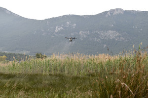 Σε εξέλιξη οι ψεκασμοί για τα κουνούπια στην Αττική