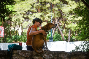 Πώς μπορούμε να κρατάμε τα ζώα δροσερά κατά τη διάρκεια ακραίων καυσώνων