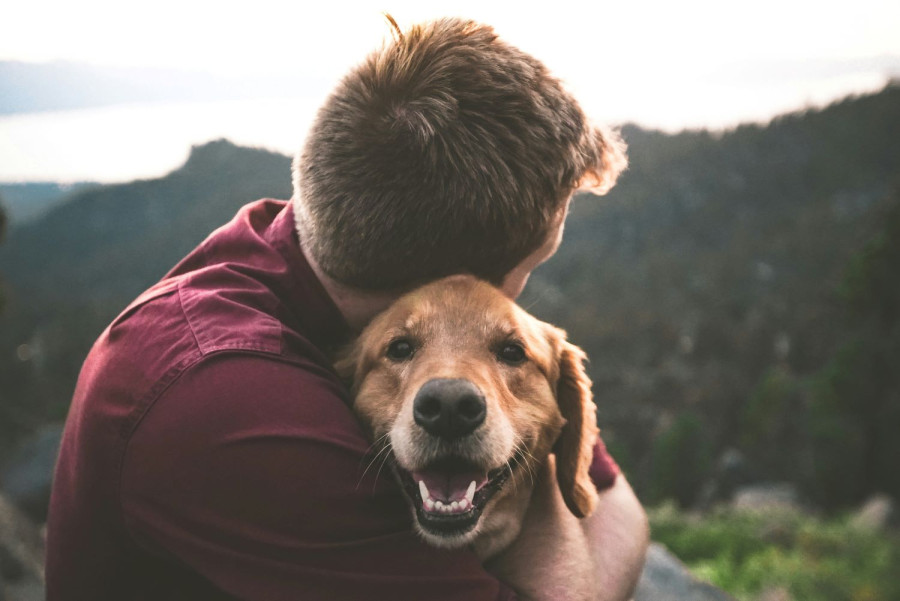 UNSPLASH