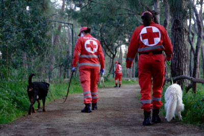 Ο Ελληνικός Ερυθρός Σταυρός στηρίζει τα αδέσποτα του Φιλοζωικού Συλλόγου Νέας Φιλαδέλφειας 