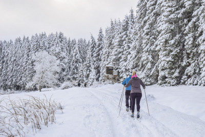 Πότε μπορεί να κάνει κανείς σκι μετά από αρθροπλαστική γόνατος σύμφωνα με ορθοπαιδικό