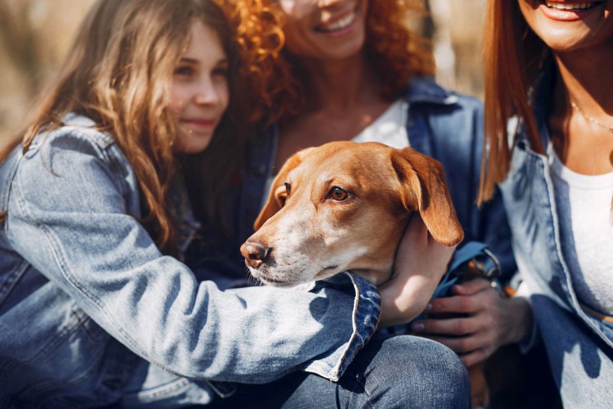 Αρχείου FREEPIK