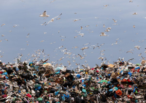 Επείγουσα εισαγγελική έρευνα για ραδιενεργά απόβλητα από νοσοκομεία και κλινικές της Θεσσαλονίκης στον ΧΥΤΑ