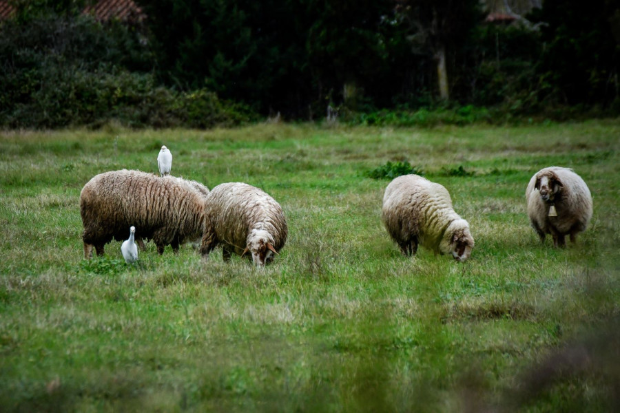 Αρχείου EUROKINISSI