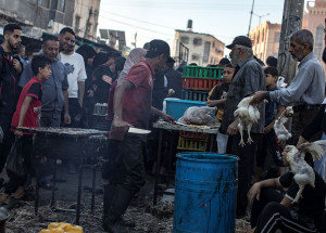 Ανήσυχος ο ΠΟΥ για την εξάπλωση μολυσματικών ασθενειών στη Γάζα