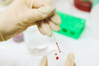 Για πρώτη φορά στα ιατρικά χρονικά, επιστήμονες μετάγγισαν σε ανθρώπους τεχνητό αίμα