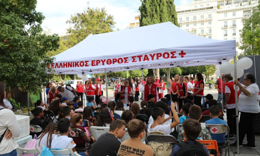 ΕΛΛΗΝΙΚΟΣ ΕΡΥΘΡΟΣ ΣΤΑΥΡΟΣ
