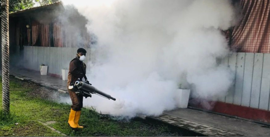 WHO/National Dengue Control Unit