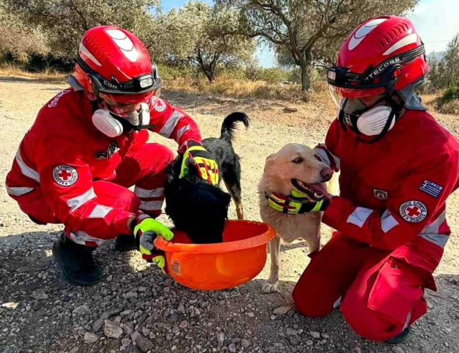 ΕΛΛΗΝΙΚΟΣ ΕΡΥΘΡΟΣ ΣΤΑΥΡΟΣ