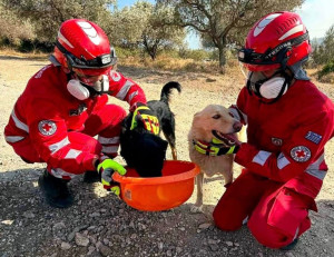 Εθελοντές του ΕΕΣ διέσωσαν δεκάδες οικόσιτα και άγρια ζώα από τις φωτιές στη Δυτική Αττική