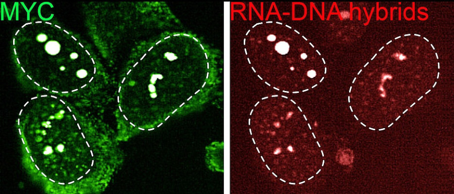 Universität Würzburg