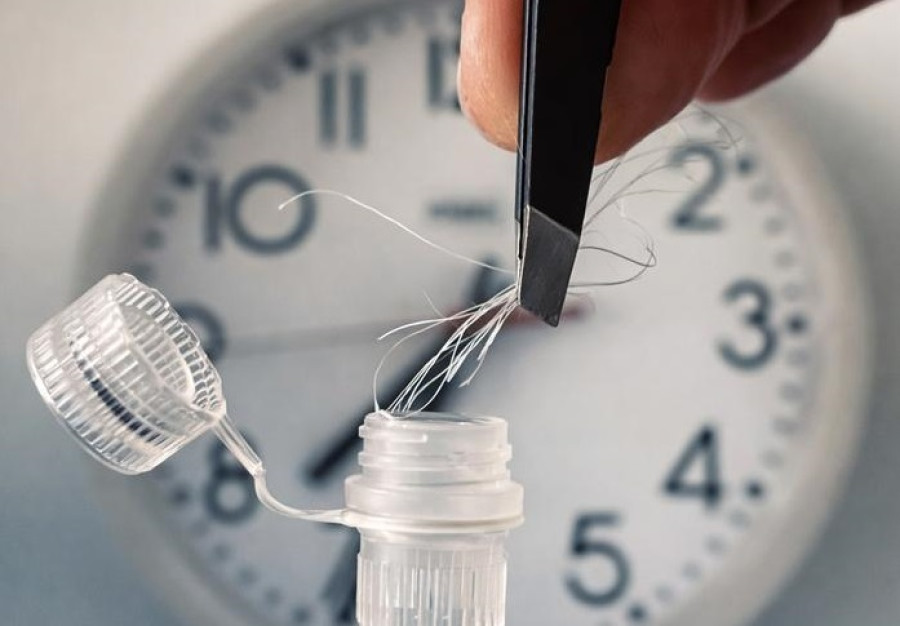 © Charité | Bert Maier