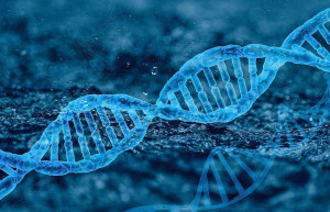 Ηνωμένο Βασίλειο: Για πρώτη φορά τεστ DNA σε θαλασσαιμικούς για ασφαλέστερες μεταγγίσεις
