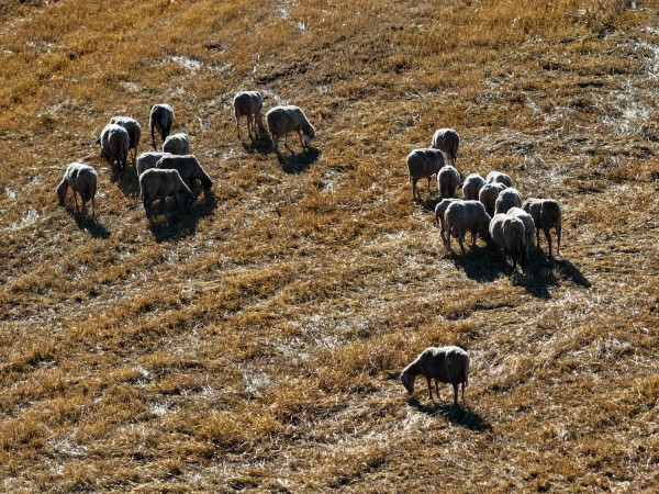 Αρχείου EUROKINISSI
