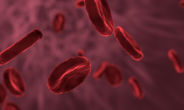 Εννέα δείκτες αίματος που συσχετίζονται με τη γήρανση και τον καρκίνο