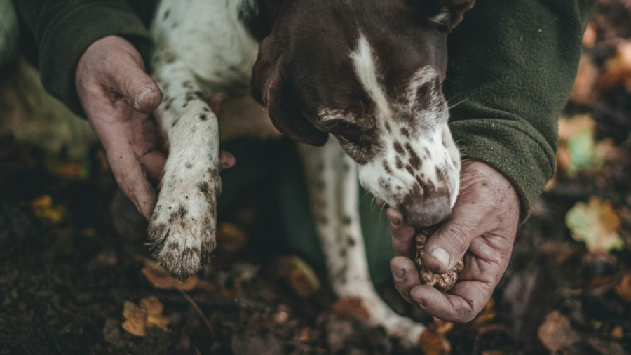 UNSPLASH 
