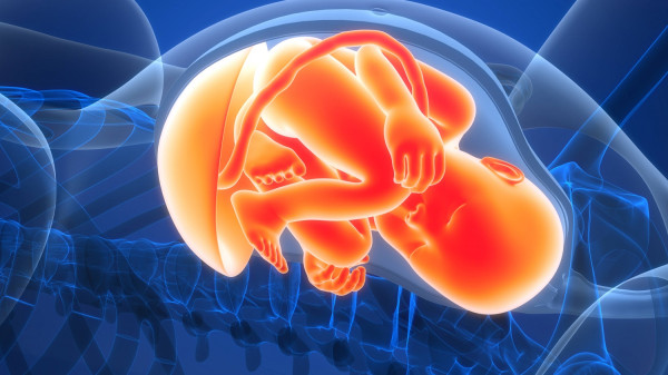 Ποια είναι η χημική ουσία που έχει προκαλέσει τον θάνατο 74.000 νεογνών το 2018