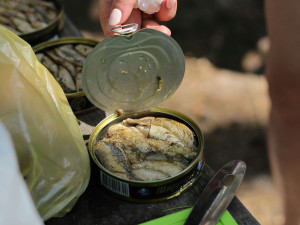 Ανάκληση κονσέρβας ακέφαλου κολιού από τον ΕΦΕΤ