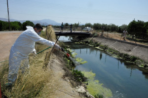 Δύο ακόμη νεκροί από τον ιό του Δυτικού Νείλου και οκτώ νέα κρούσματα σε μία εβδομάδα