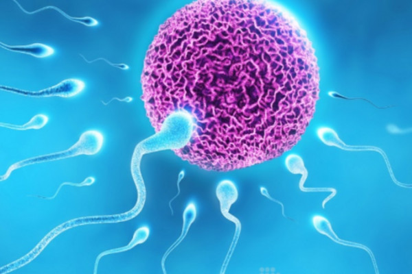Η ανδρική γονιμότητα «πληγώνεται» από το τοξικό περιβάλλον