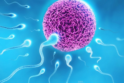 Η ανδρική γονιμότητα «πληγώνεται» από το τοξικό περιβάλλον