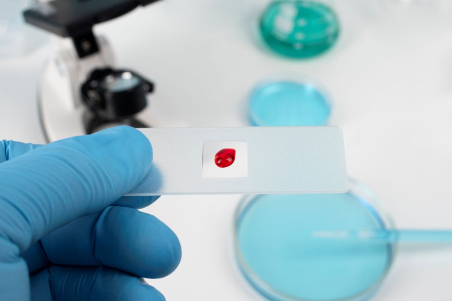 Αρχείου MAGNIFIC