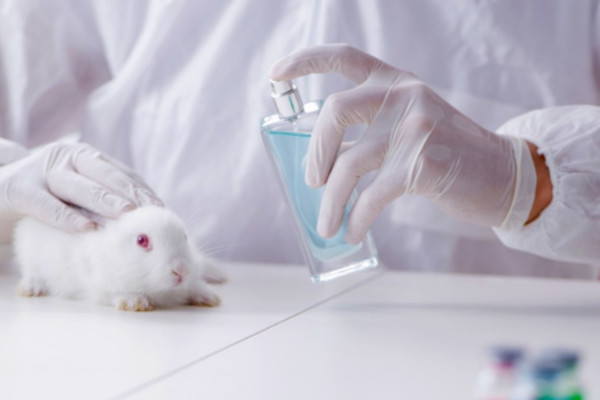 Οι προκλήσεις μετά την απαγόρευση δοκιμών καλλυντικών προϊόντων σε ζώα