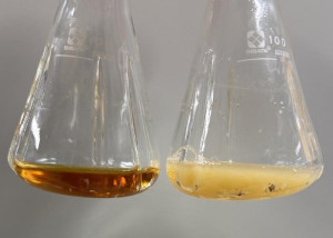 Επιστήμονες κατάφεραν να δημιουργήσουν αντικαρκινικές και αντιφλεγμονώδεις ενώσεις από E.coli