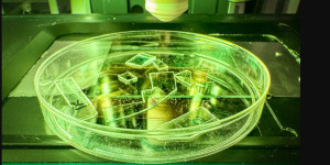 Ερευνητές δημιούργησαν πλαστικό που καταστρέφει τους ιούς με τη ...μέθοδο του Προκρούστη!