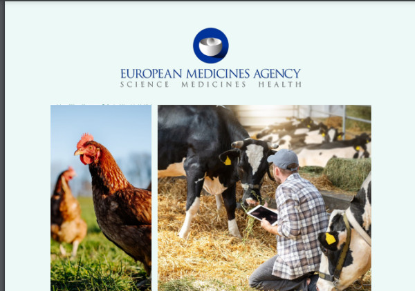 Η πρώτη έκθεση σχετικά με τις πωλήσεις και τη χρήση αντιβιοτικών στα ζώα σε ολόκληρη την ΕΕ