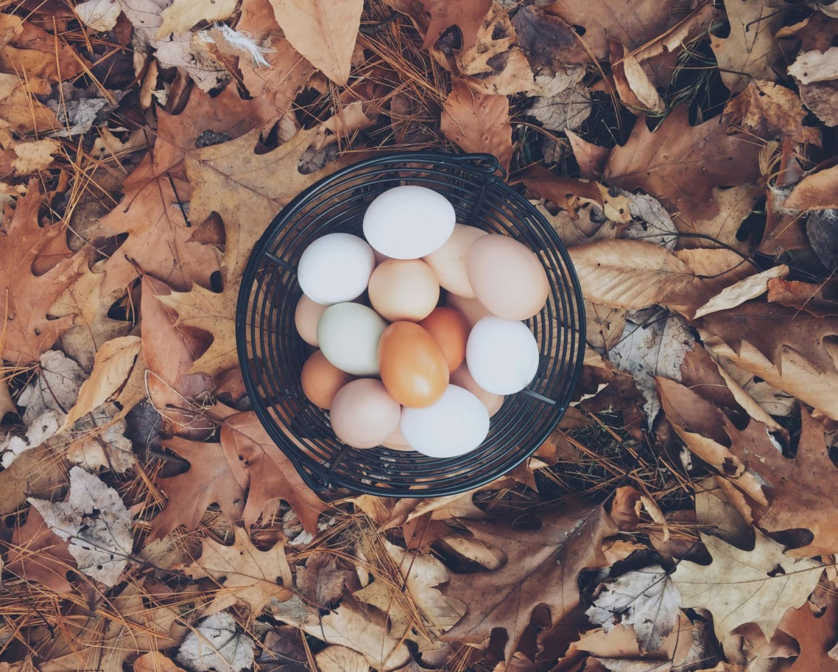 UNSPLASH