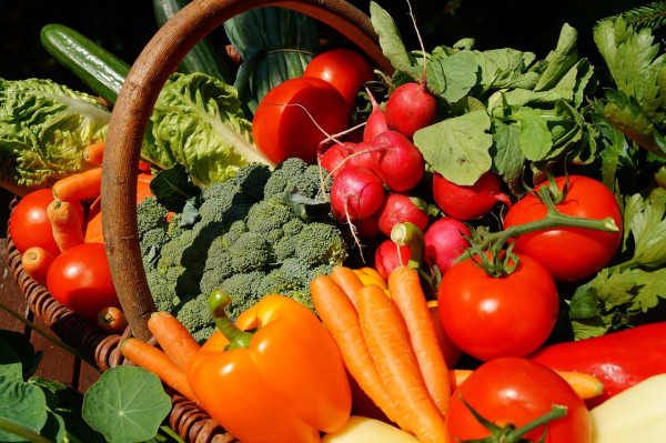 Κλειδί για την πρόληψη και θεραπεία σοβαρών ασθενειών η φυτική διατροφή