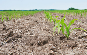 Η κλιματική αλλαγή κάνει τα τρόφιμα λιγότερο θρεπτικά