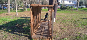 Ο δήμος Καλαμαριάς κατασκεύασε το πρώτο πάρκο σκύλων με ανακυκλώσιμα υλικά