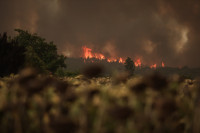 Φωτιές Ελλάδα: Άλλοι 2 τραυματίες στην Εύβοια, σε κατάσταση μέγιστης ετοιμότητας δομές υγείας και ΕΚΑΒ σε Γορτυνία και Τρίπολη