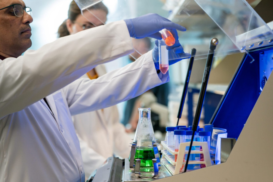 Texas A&amp;M University