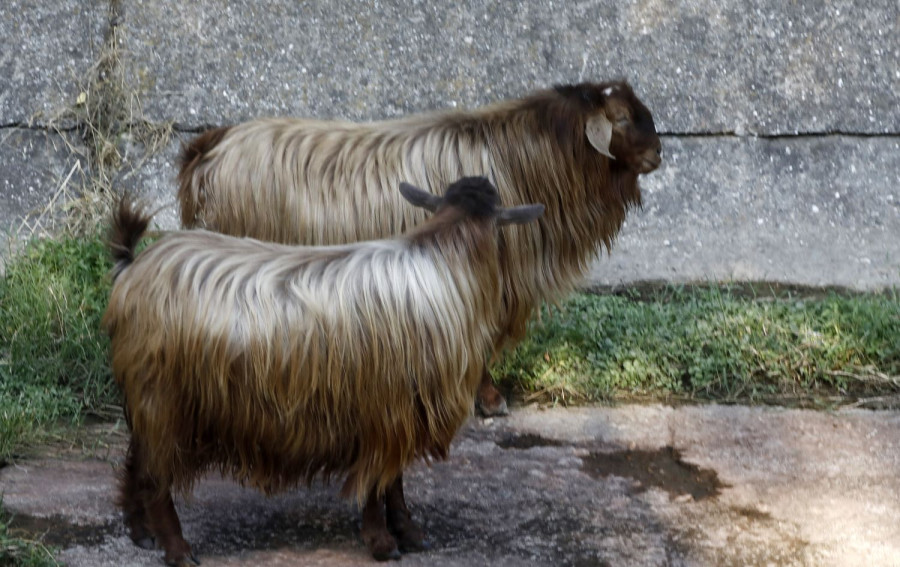 Αρχείου INTIME