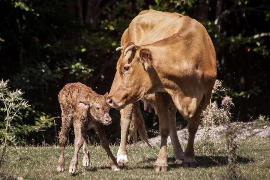 Αρχείου EUROKINISSI