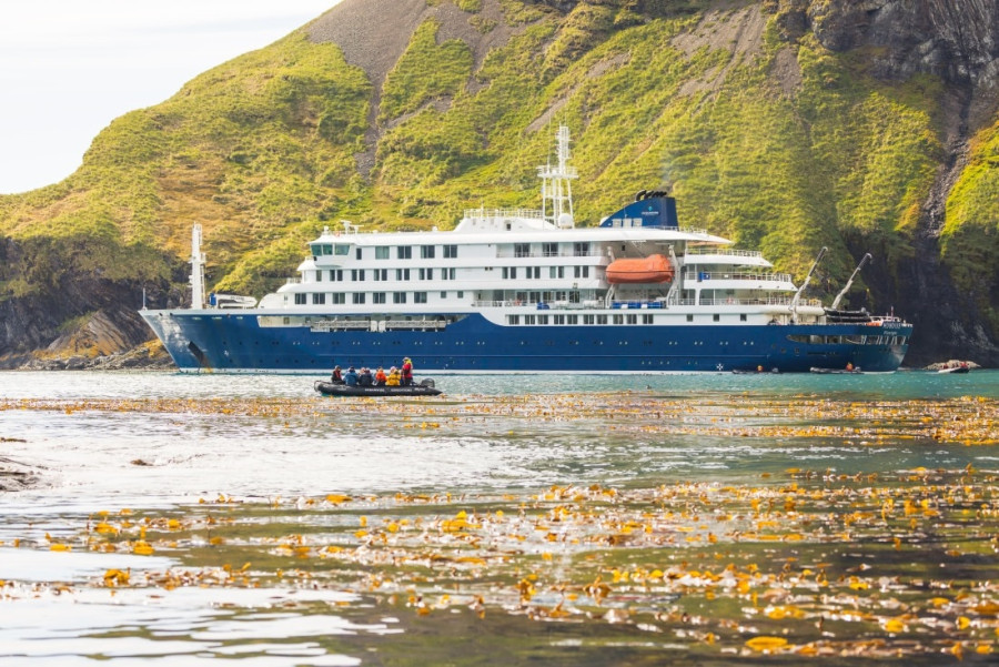 https://oceanwide-expeditions.com