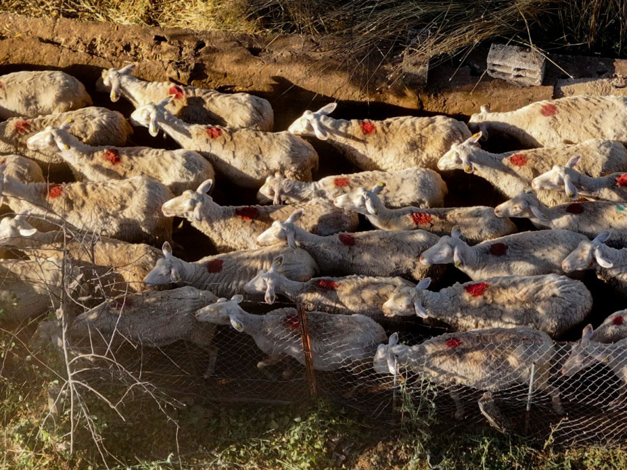 Αρχείου EUROKINISSI