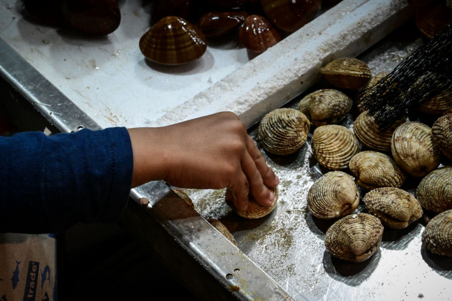 Αρχείου EUROKINISSI